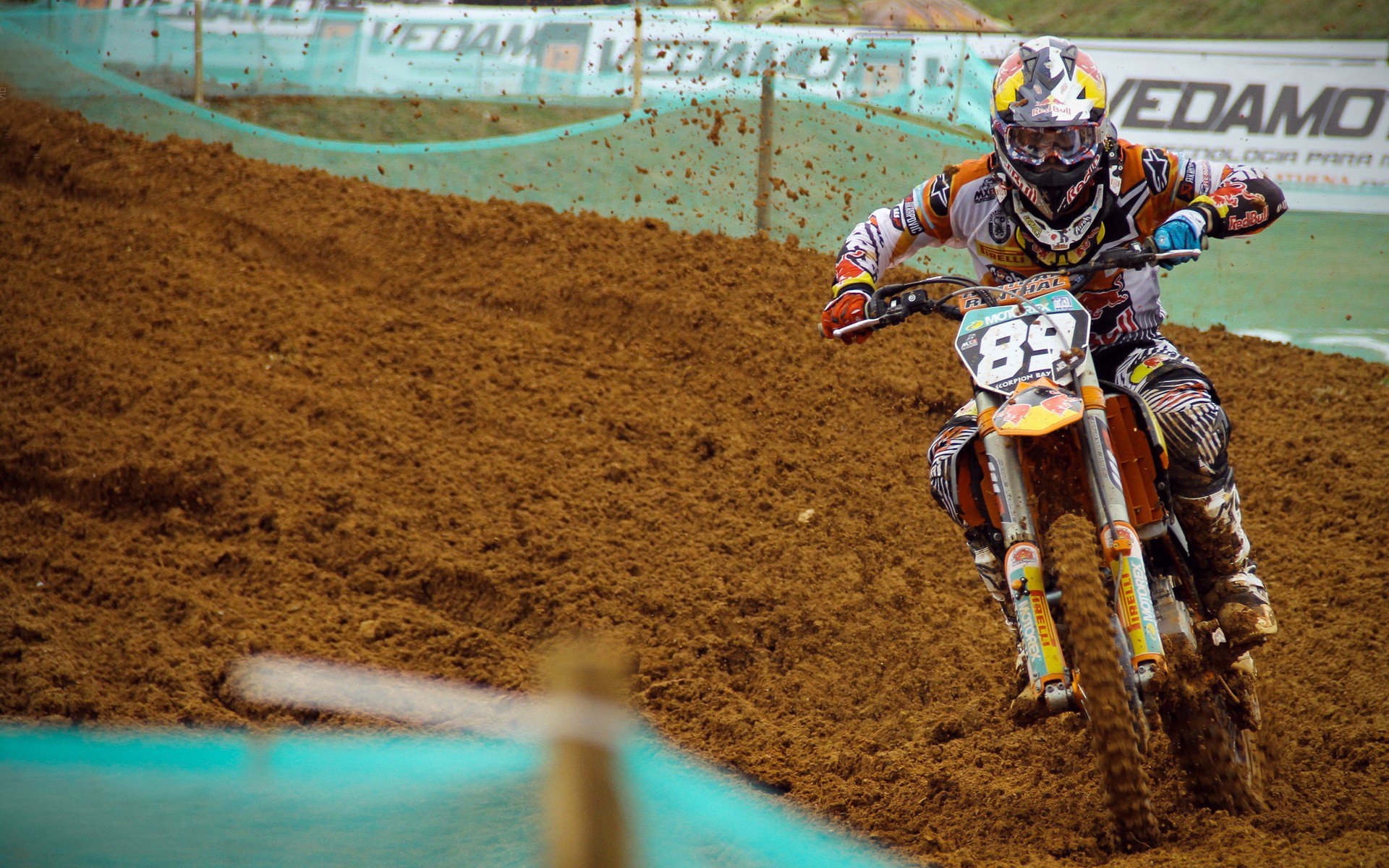 【粉丝专区】投票、评论和打榜活动不断，粉丝活跃榜投票